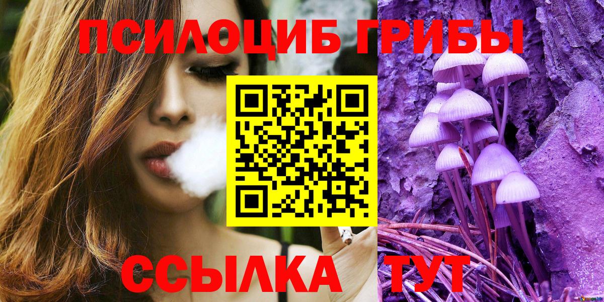 купить наркотик  Псилоцибиновые грибы Psilocybe  Вход с VPN  Медногорск 