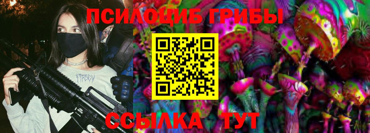 Галлюциногенные грибы Psilocybine cubensis Медногорск