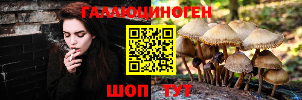 Alpha PVP СК кристаллы  Медногорск  Вход с VPN  Cocaine  ГАШ  Меф кристаллы  Канабис  ГЕРОИН  Экстази 